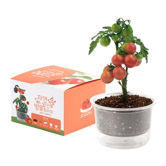 �ڿ��� ���̰��� ȭ�� ŰƮ- ����丶��