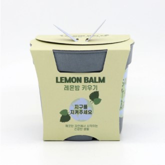 �鿪�¿� ���� ����� Ű��� ��Ʈ ȭ�����