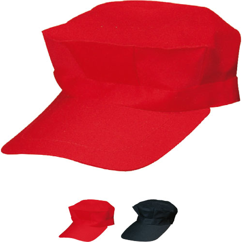 NSCAP ���� �Ȱ��� 1749